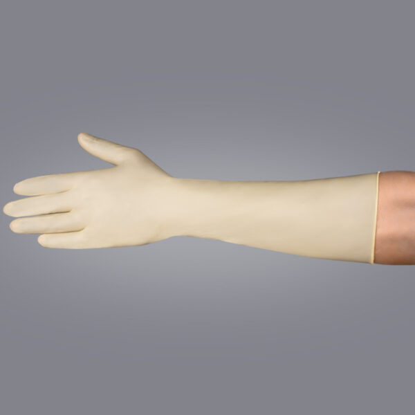 Latex Surgical Powder Free Gloves - Image 3