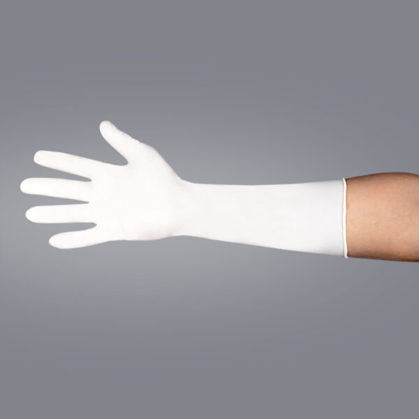 Latex Surgical Powder Free Gloves - Image 2