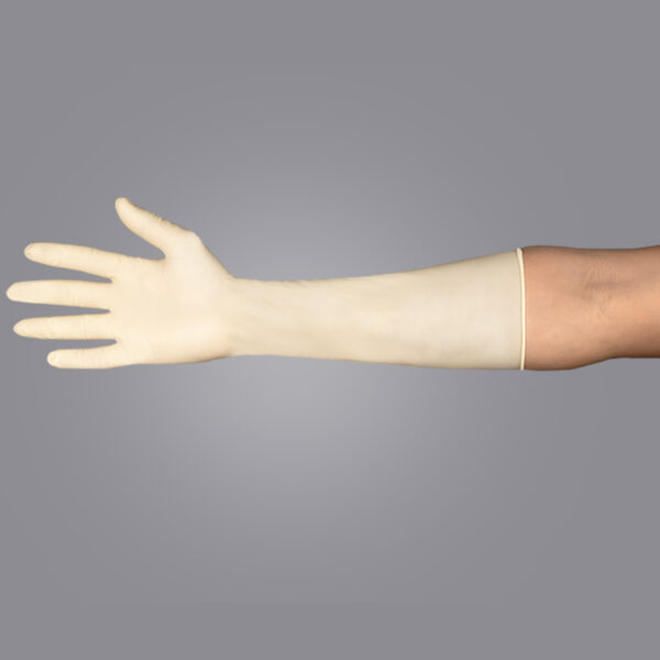 Class 10 Latex Surgical Powder Free Gloves - Image 4