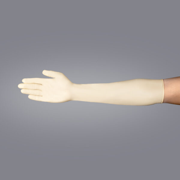 Class 10 Latex Surgical Powder Free Gloves - Image 2